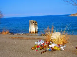 Свыше 40 миллионов сомов составил ущерб от экологических нарушений в Кыргызстане