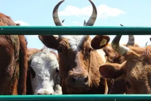 Чиновники Актюбинской области заявили в полицию на распространителя ложных сведений