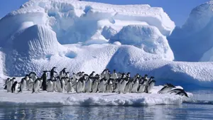 Назван единственный способ спасения от глобальной катастрофы