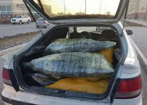 Полная машина осетровых задержана в Актау
