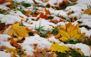 В Казахстане ожидается потеплениеЭксклюзив