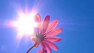 Алматинские врачи предупреждают об опасности перегрева