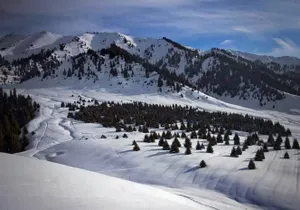 Байбек о «Кок-Жайляу»: Предлагаю проект еще раз доработать