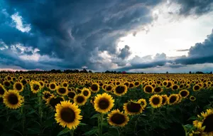 Сильный ветер, град и пыльные бури надвигаются на Казахстан