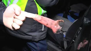 В Алматы задержаны два пассажира, напавшие на частного извозчика