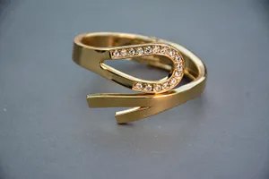 Для списания долга женщина инсценировала кражу в Акмолинской области