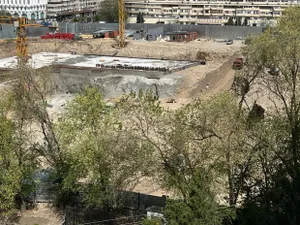 Зайцы-русаки, суслики и Дала қыраны: что не так с проектом президентской библиотеки у Qazaq Stroy?