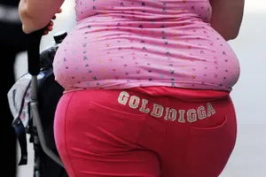 Пыль в квартире может привести к ожирению