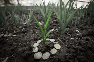 В Семее на аукцион выставлены 15 земельных участков