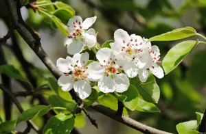 Погода без осадков ожидается в Казахстане