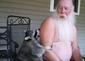 Енот и веселый дедушка покорили YouTube