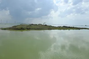 Полицейские спасли двух человек в затопленном поселке Туркестанской области