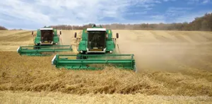 В СКО 60% посевных площадей отвели под зерновые