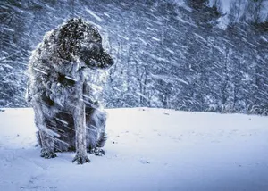 Снег, метель и сильный ветер ожидаются на большей части Казахстана