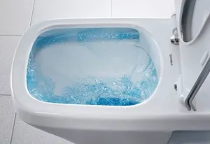 Нотариус в Тюмени заставила клиентов мыть унитаз