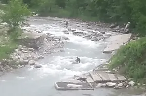 В Алматинской области женщина убила себя на глазах прохожих