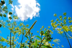 Погода без осадков сохранится на западе Казахстана