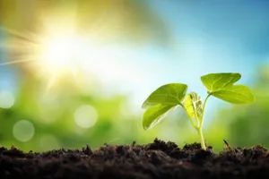 Ученые превратили солнечную энергию в жидкое топливо