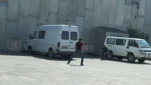 Полиция Алматы провела операцию «Бродячий пес»