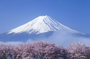 Фудзияма жанартауы Жапонияны электр қуатынан айыруы мүмкін