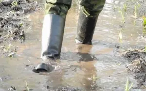 Дожди затопили село Жынгылды в Мангыстау