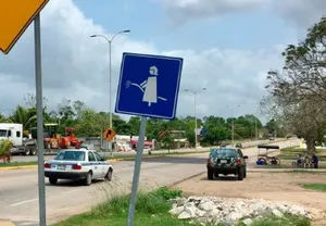 Загадочный дорожный знак рассмешил и озадачил пользователей соцсетей