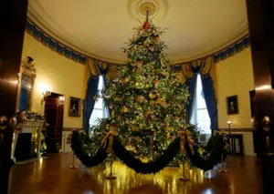 Белый дом готов к Рождеству