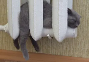 В Алматы завершен отопительный сезон