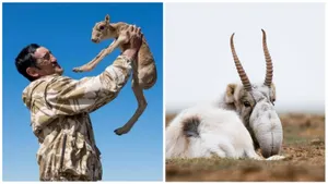 Я умолял, чтобы вызвали санавиацию – брат погибшего инспектора «Охотзоопрома»Эксклюзив