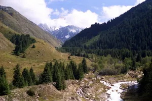 Без вести пропавшего мужчину из Талгара нашли мертвым в горах