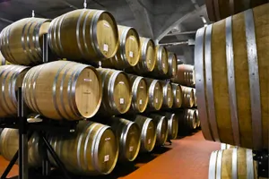 Вино сделают антисептиком во Франции