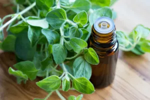 Какое масло помогает бороться с инфекциями – эксперты