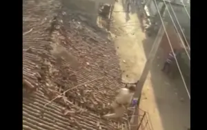 Леопард напал на людей в индийской деревне