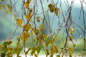 Понижение температуры ожидается в Казахстане