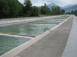 О подъеме уровня воды на реках предупредили алматинцев