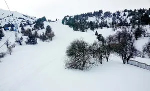 Три сноубордиста погибли в Узбекистане