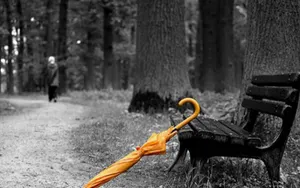 Осадки пройдут почти во всех регионах Казахстана