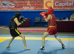 В Астане разыграны путевки на чемпионат мира по ушу