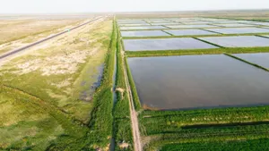 Более 15 тысяч га посевных площадей восстановили в Кызылординской области