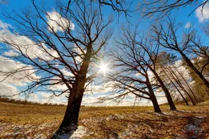 Дождь, туман и ветер: какая погода ожидается в Казахстане
