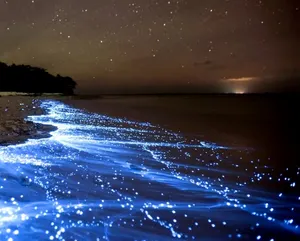 Необычные волны появились на побережье Южной Калифорнии