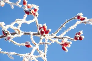 Ауа райының температурасы бүкіл Қазақстан бойынша төмендейді