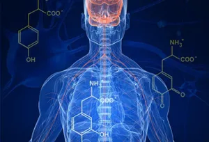 Ученые углубились в понимание природы болезни Паркинсона