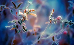 Қазақстанның көп бөлігінде суық ауа райы күтілуде