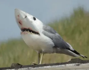 Сервис Izitru позволит узнать, не является ли фотография фейком