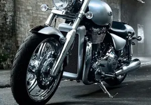 Американского байкера похоронили верхом на мотоцикле