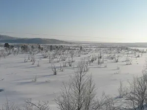 Пропавших в степи детей нашли полицейские Атырауской области