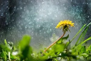 Неустойчивая погода сохранится в Казахстане