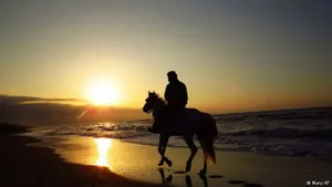 Казахстан предлагают сделать родиной брюк