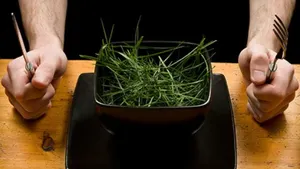 Вегетарианцы в РК сильнее страдают от роста цен, чем мясоеды